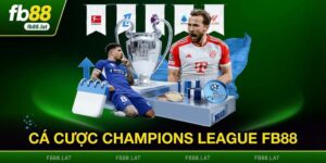 Cá Cược Champions League FB88 - Sân Chơi Đẳng Cấp Châu Âu