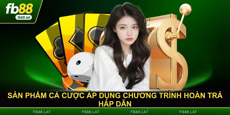 Sản phẩm cá cược áp dụng chương trình hoàn trả hấp dẫn